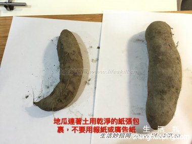 根茎类食材的保存方法