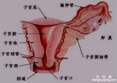 肛门疼痛是怎么回事? 肛门疼痛是什么原因引起的