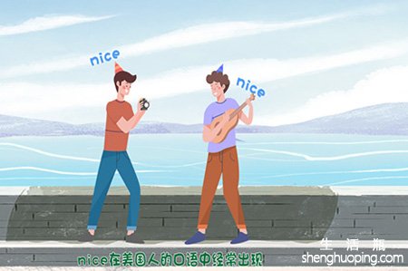 nice是什么意思