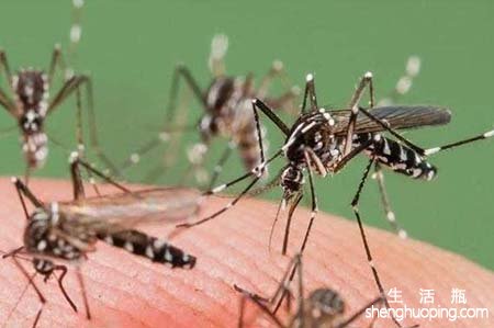最有效的11种驱蚊方法