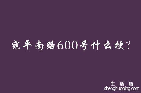 宛平南路600号什么梗？