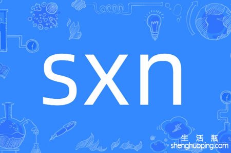 SXN用输入法打出来什么意思