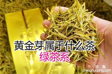 <b>黄金芽属于什么茶</b>