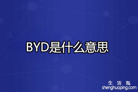 <b>BYD是什么意思</b>