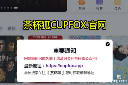 茶杯狐CUPFOX.官网