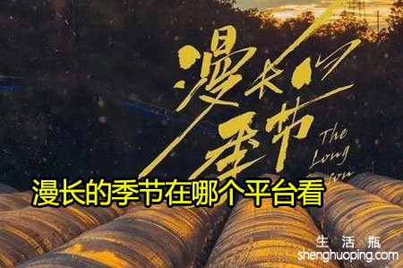 漫长的季节在哪个平台看