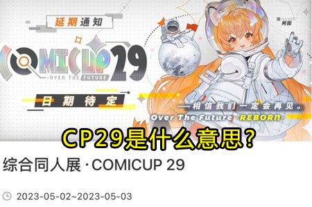 CP29是什么意思?