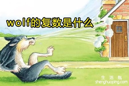 <b>wolf的复数是什么</b>