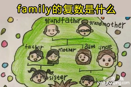 family的复数