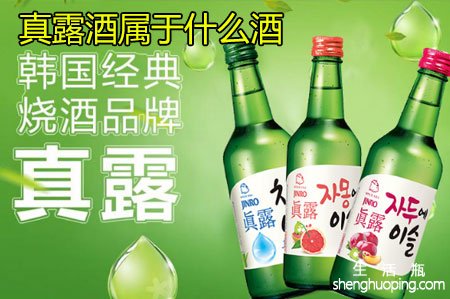 真露酒属于什么酒