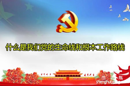 <b>什么是我们党的生命线和根本工作路线</b>