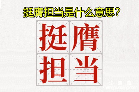 <b>挺膺担当是什么意思？</b>