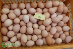 鸡蛋怎样保存才能放得久一些？