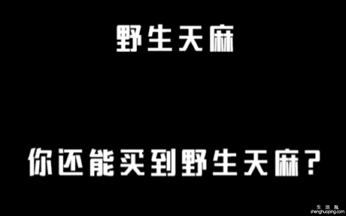 吃野生天麻有什么功效(野生天麻的功效：提高记忆力、缓解焦虑)