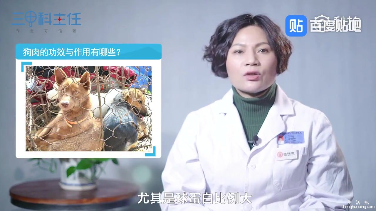 狗肉有什么功效和作用(狗肉的功效与作用，你了解吗？)