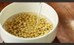 黄豆米饭的功效与作用(黄豆米饭：健康营养，美味可口)