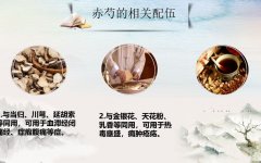 十二经络的作用与功效(经络保健：十二经络作用与功效)