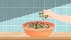 梭子蟹要蒸多久才能蒸熟