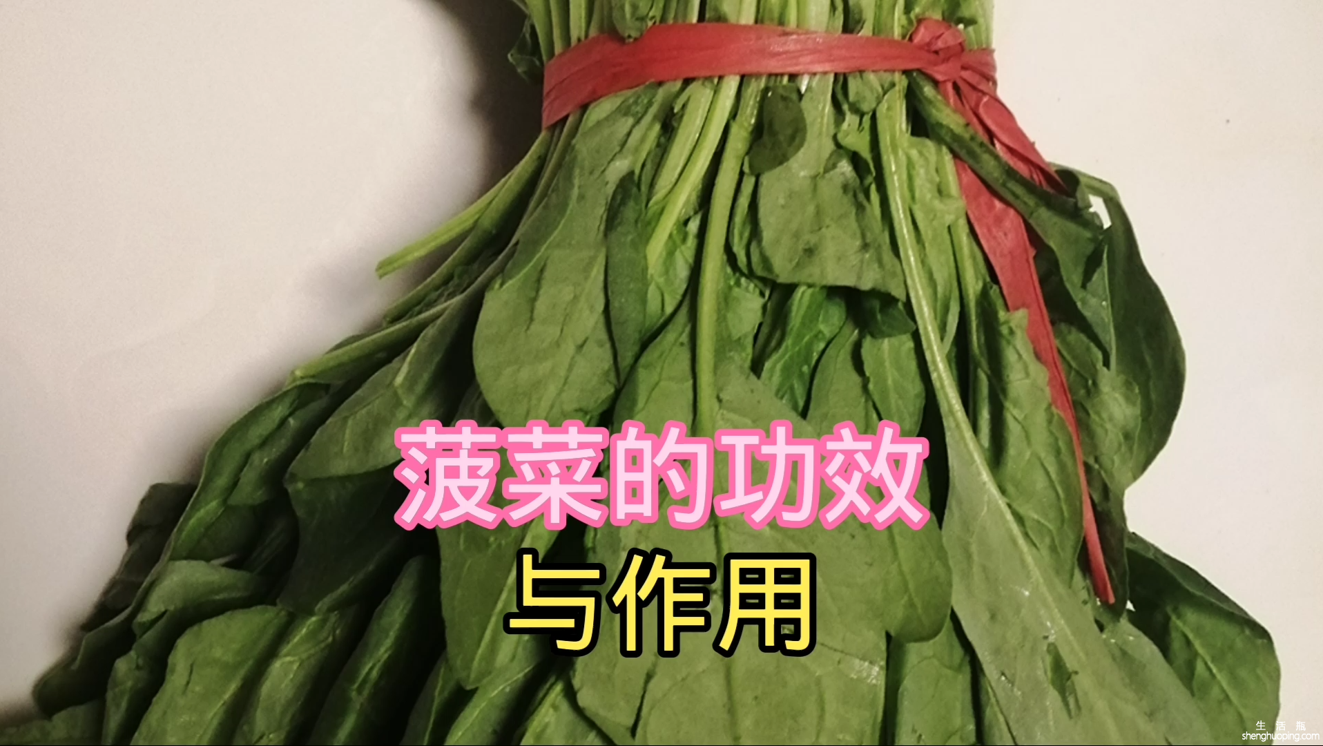 菠菜营养的功效与作用(菠菜的营养价值及健康功效)