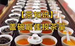 茶叶生姜水作用与功效(生姜水泡茶的好处)
