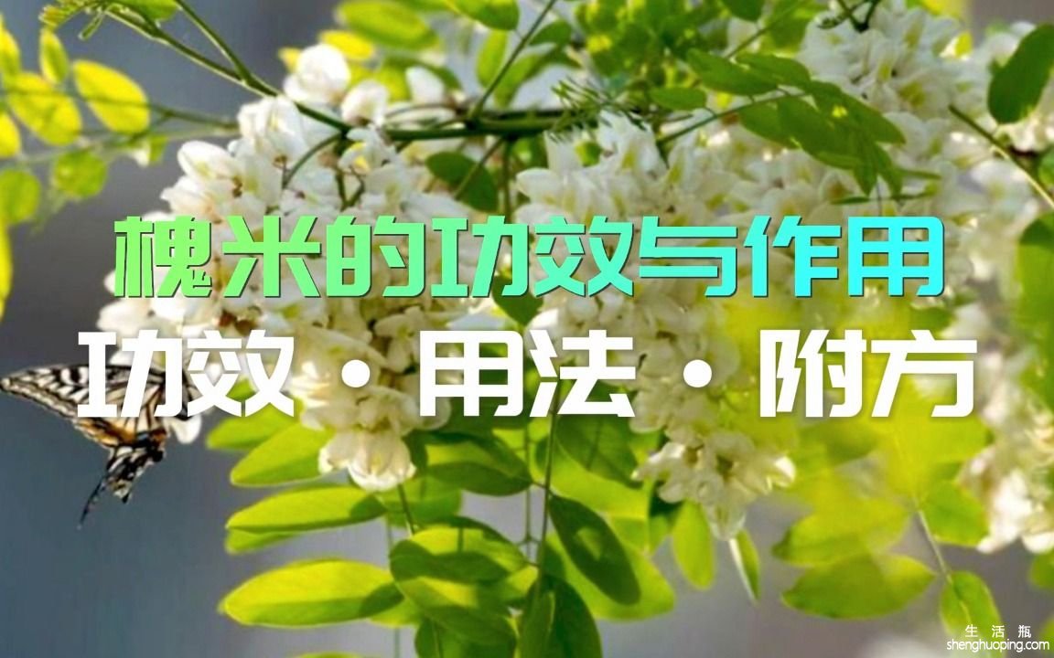 肝经的作用与功效(肝经的作用与功效，了解肝经的重要性)