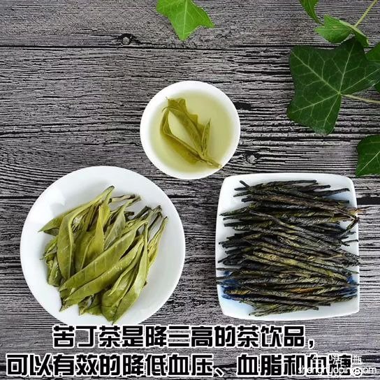 苦苦丁茶的功效与作用(苦苦丁茶：提神醒脑，缓解疲劳)