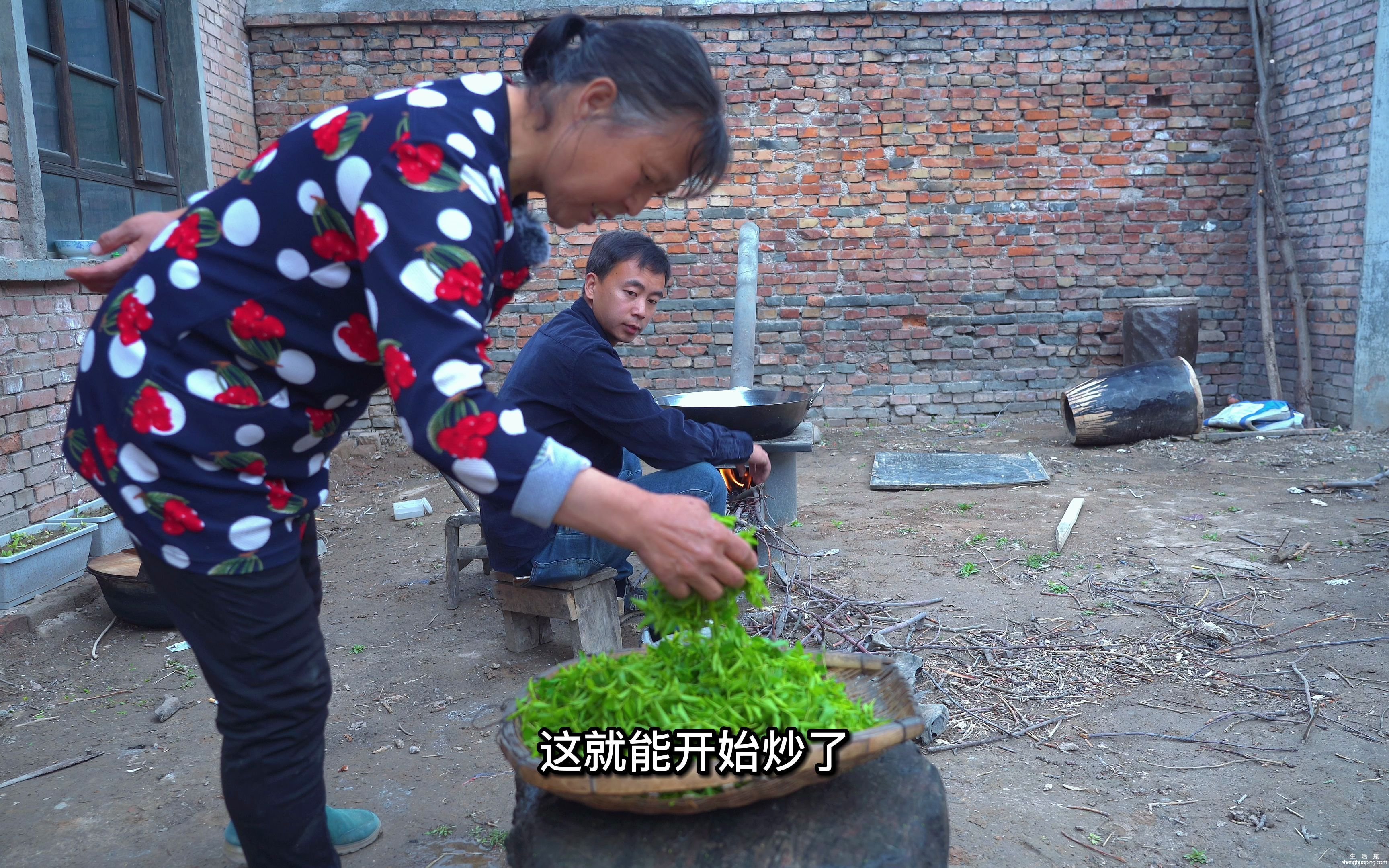 酸枣干的功效与作用(酸枣干的功效与作用，提高免疫力，缓解疲劳)